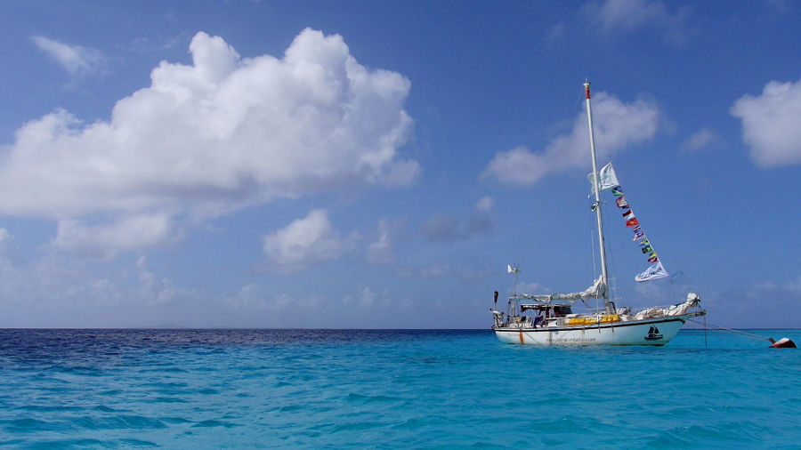 Titelseite -Sportrudern-12seemeilen 182